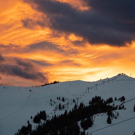 Les Saisies Appart 1 Chambre Au Pied Des Pistes Exteriér fotografie
