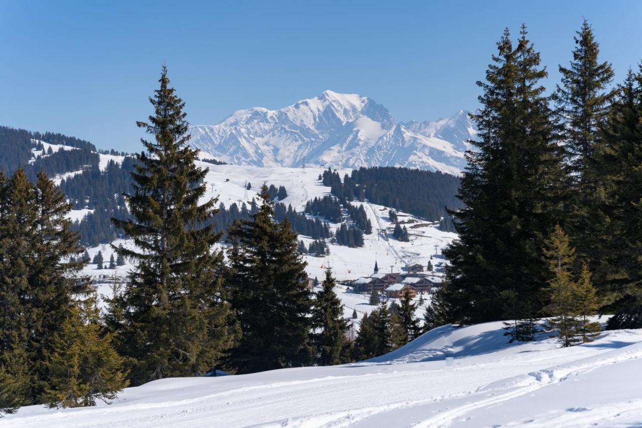 Les Saisies Appart 1 Chambre Au Pied Des Pistes Exteriér fotografie