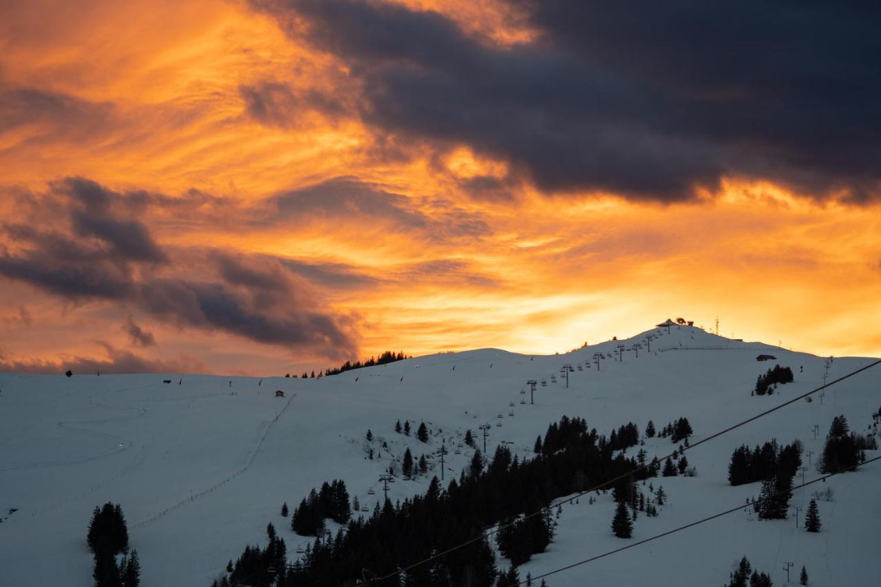 Les Saisies Appart 1 Chambre Au Pied Des Pistes Exteriér fotografie