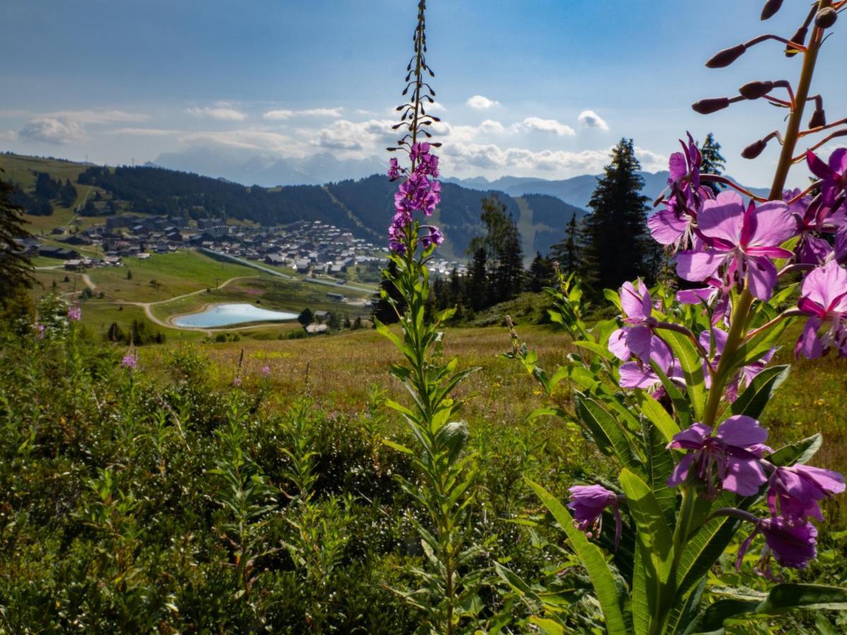 Les Saisies Appart 1 Chambre Au Pied Des Pistes Exteriér fotografie