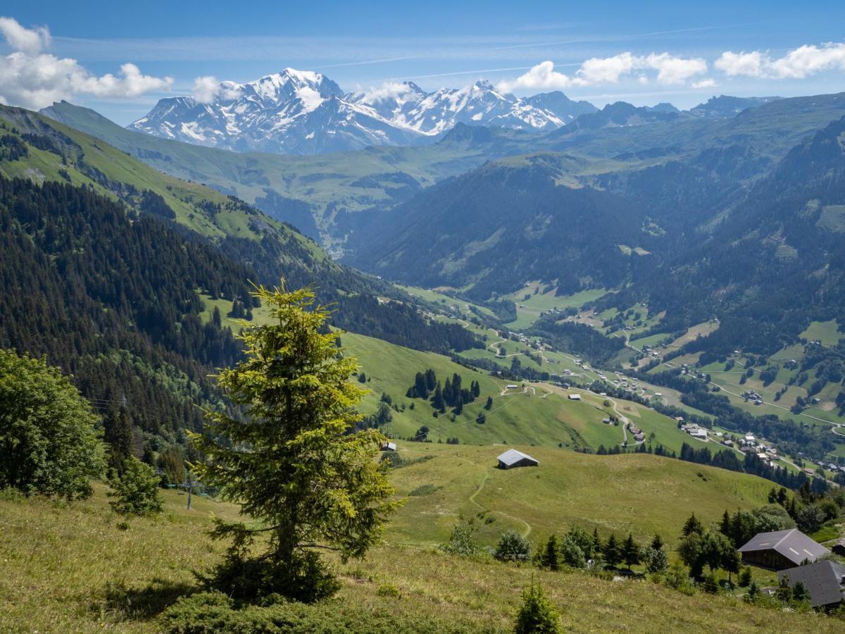 Les Saisies Appart 1 Chambre Au Pied Des Pistes Exteriér fotografie